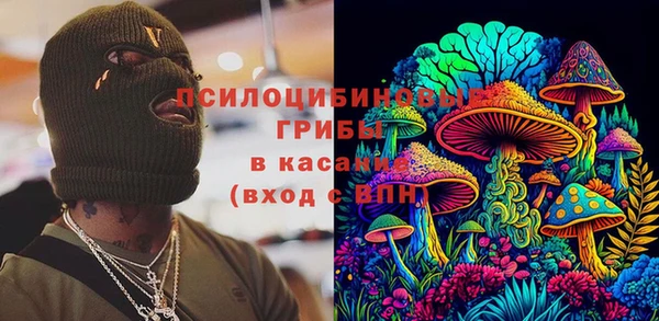 PSILOCYBIN Россошь