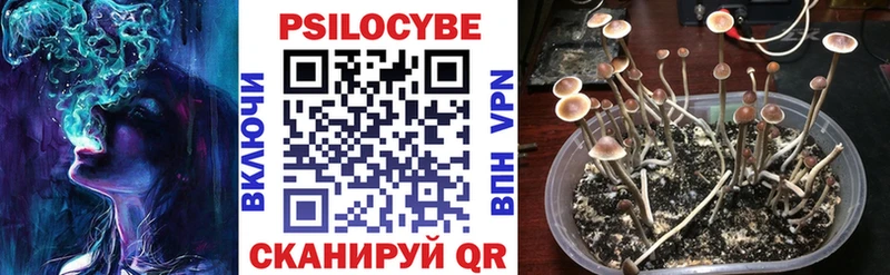 Псилоцибиновые грибы мухоморы  Инза 